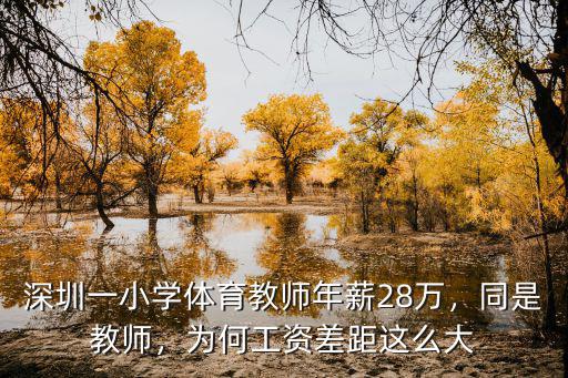 深圳一小學體育教師年薪28萬，同是教師，為何工資差距這么大