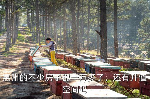 惠州的房子怎么樣東進,惠州碧桂園的房子值得買嗎