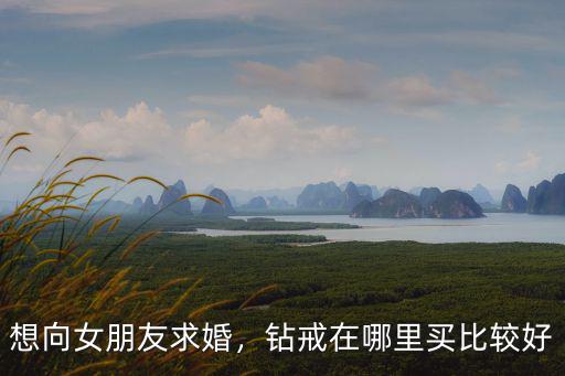 想向女朋友求婚，鉆戒在哪里買比較好