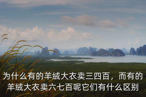 廣東中山哪里有賣羊絨大衣的,為什么有的羊絨大衣賣三四百