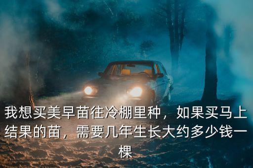 我想買美早苗往冷棚里種，如果買馬上結果的苗，需要幾年生長大約多少錢一棵