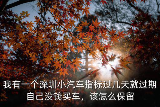 我有一個深圳小汽車指標過幾天就過期自己沒錢買車，該怎么保留
