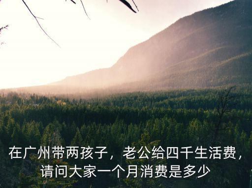 在廣州帶兩孩子，老公給四千生活費，請問大家一個月消費是多少