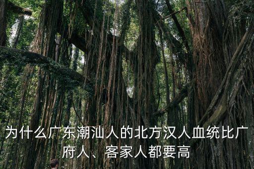 廣東四邑人血統是多少,廣府人的血統是俚人嗎