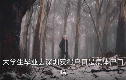 大學生畢業后怎么落戶深圳,大學生畢業后