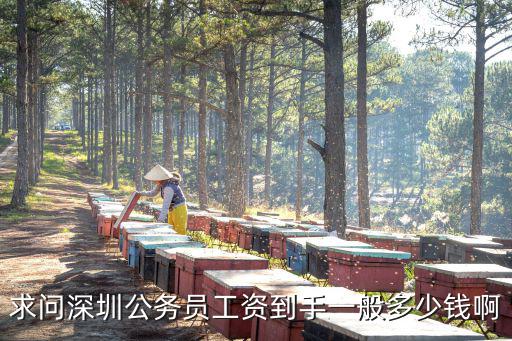 求問深圳公務(wù)員工資到手一般多少錢啊