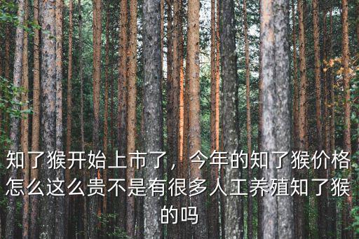 知了猴開始上市了，今年的知了猴價格怎么這么貴不是有很多人工養殖知了猴的嗎