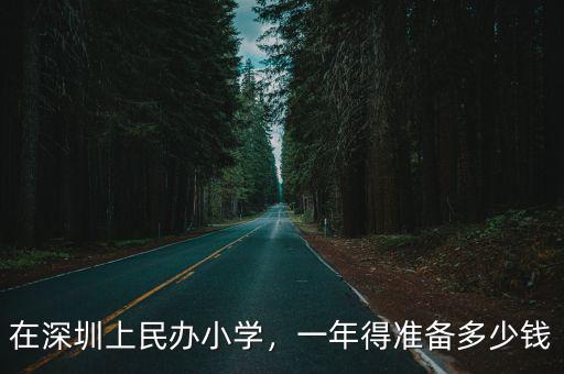 在深圳上民辦小學，一年得準備多少錢