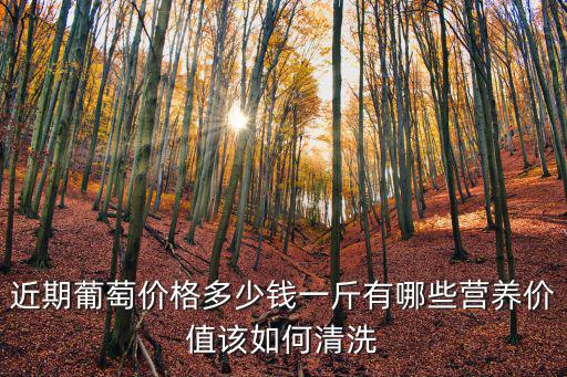 近期葡萄價格多少錢一斤有哪些營養價值該如何清洗