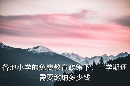 深圳上小學的費用多少錢,在深圳上民辦小學