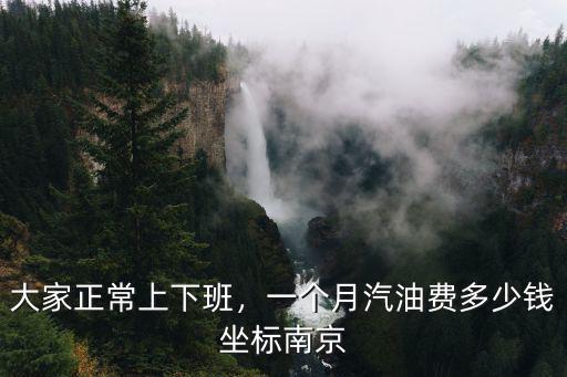 大家正常上下班，一個月汽油費多少錢坐標南京