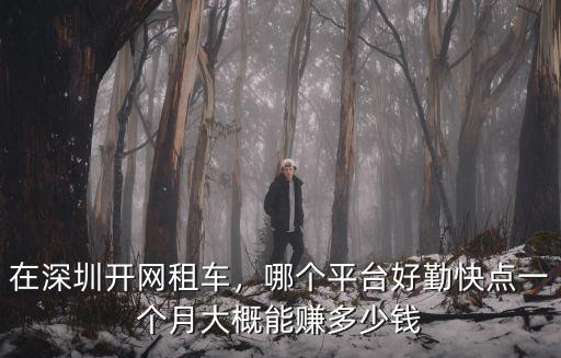 在深圳網上租車多少錢一天,在深圳開網租車