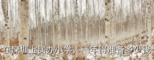 在深圳上民辦小學，一年得準備多少錢