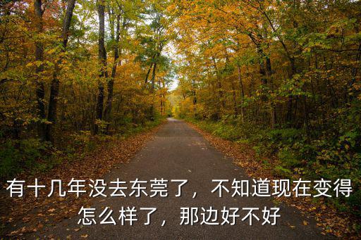東莞阿鵬現在怎么樣了,有十幾年沒去東莞了