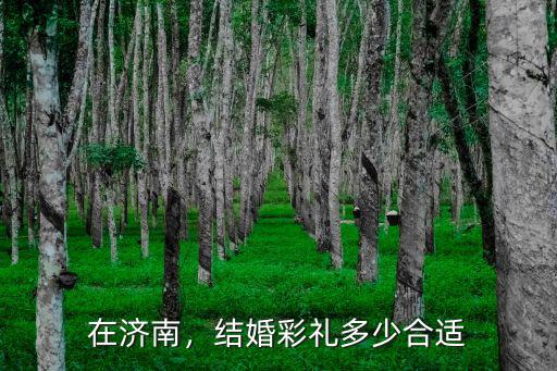 東營(yíng)結(jié)婚隨禮金一般給多少,山東東營(yíng)現(xiàn)在訂婚彩禮多少錢