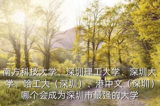 南方科技大學(xué)、深圳理工大學(xué)、深圳大學(xué)、哈工大（深圳）、港中文（深圳）哪個(gè)會(huì)成為深圳市最強(qiáng)的大學(xué)