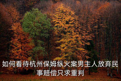 杭州縱火保姆案賠償多少,林生斌獲得的1.4億賠償款