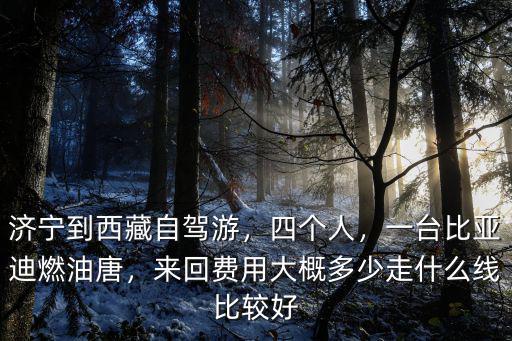濟(jì)寧到西藏自駕游，四個(gè)人，一臺(tái)比亞迪燃油唐，來(lái)回費(fèi)用大概多少走什么線比較好