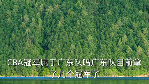 CBA冠軍屬于廣東隊嗎廣東隊目前拿了幾個冠軍了