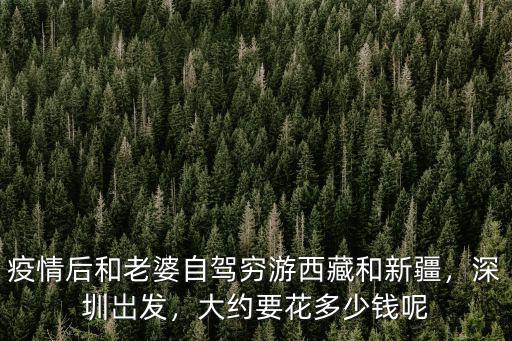 回深圳路費多少錢,深圳自駕到三亞費用多少