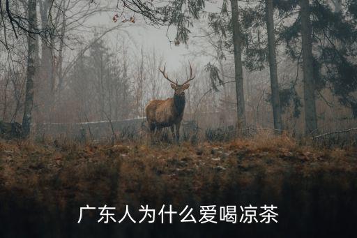 廣東人為什么愛喝涼茶