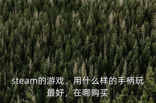 江門哪里買游戲手柄,steam的游戲