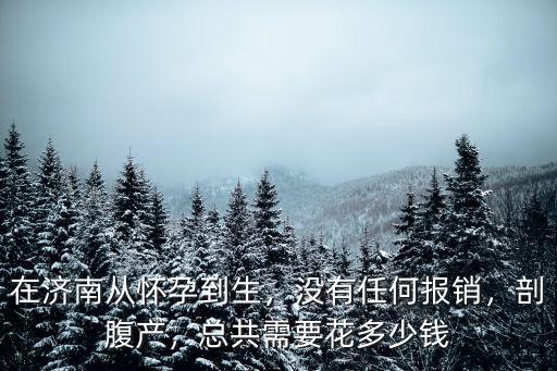 濟南婦幼生孩子醫(yī)保報銷多少,沒有任何報銷