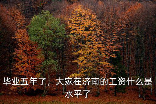 畢業五年了，大家在濟南的工資什么是水平了