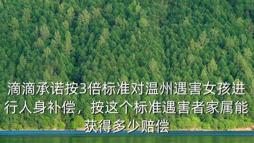 滴滴承諾按3倍標(biāo)準(zhǔn)對(duì)溫州遇害女孩進(jìn)行人身補(bǔ)償，按這個(gè)標(biāo)準(zhǔn)遇害者家屬能獲得多少賠償