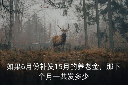 如果6月份補發15月的養老金，那下個月一共發多少