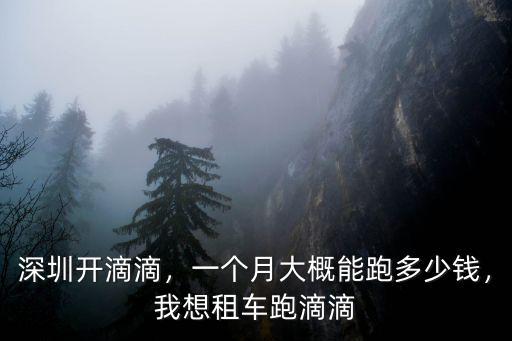 深圳開滴滴，一個月大概能跑多少錢，我想租車跑滴滴