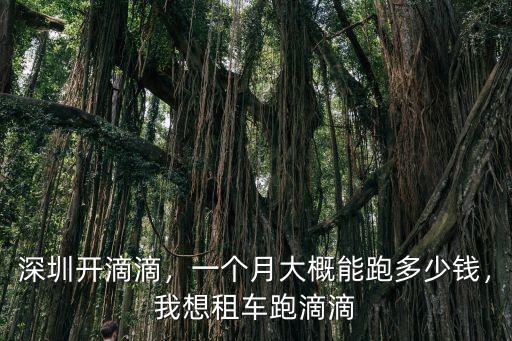 在深圳跑滴滴一單多少錢,在深圳跑滴滴
