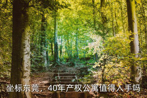 坐標(biāo)東莞，40年產(chǎn)權(quán)公寓值得入手嗎