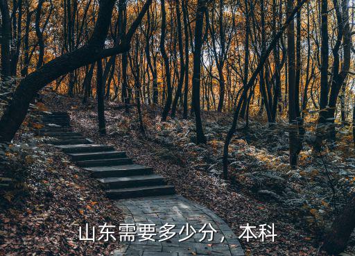 山東藝術(shù)考生多少分能上本科,山東藝術(shù)文科考生386分