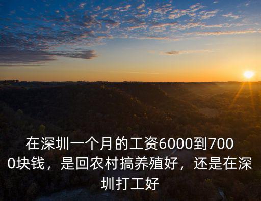 深圳的農民工工資一個月多少錢,農民工一年的工資大概是多少