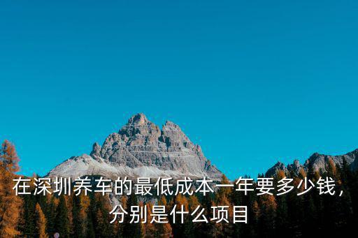 在深圳養車的最低成本一年要多少錢，分別是什么項目