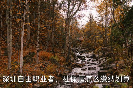 深圳自由職業者交社保多少年,深圳自由職業者