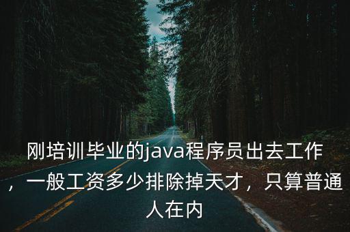 剛培訓畢業的java程序員出去工作，一般工資多少排除掉天才，只算普通人在內