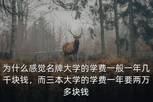 為什么感覺名牌大學的學費一般一年幾千塊錢，而三本大學的學費一年要兩萬多塊錢