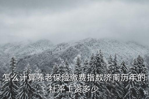 怎么計算養(yǎng)老保險繳費指數(shù)濟南歷年的社平工資多少