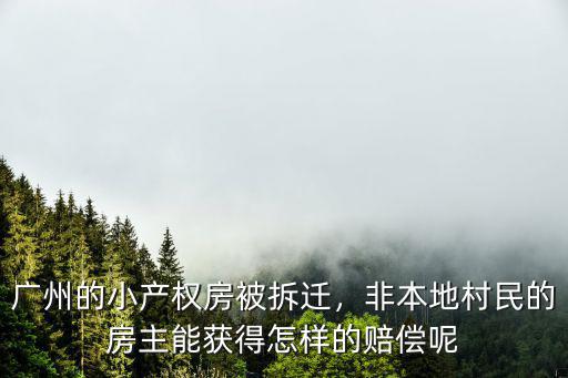 廣州的小產權房被拆遷，非本地村民的房主能獲得怎樣的賠償呢