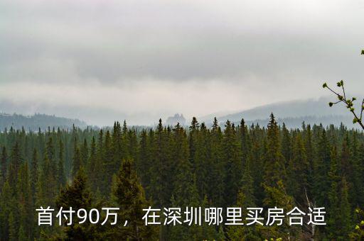 深圳鹽田區哪里房價最低首付,在深圳哪里買房合適