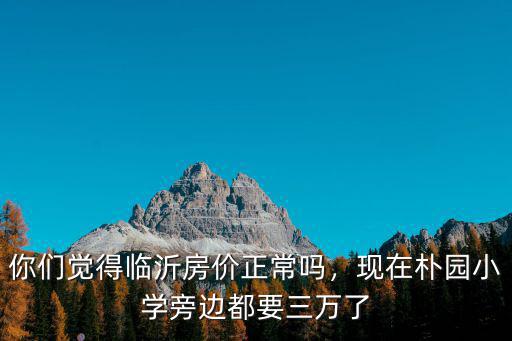你們覺得臨沂房價正常嗎，現在樸園小學旁邊都要三萬了