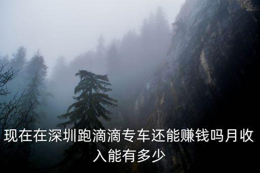 現在在深圳跑滴滴專車還能賺錢嗎月收入能有多少