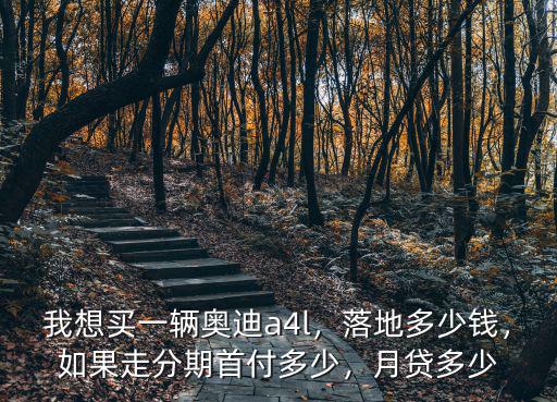 溫州紅源奧迪a4l首付多少,奧迪a4l首付多少