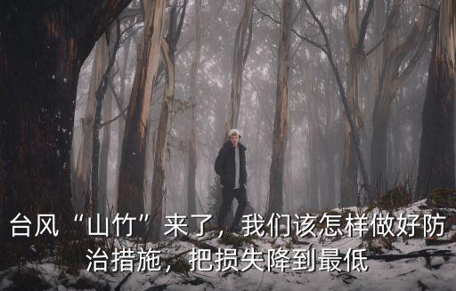 臺風山竹損對廣東損失多少,臺風山竹來了