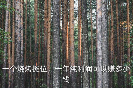 德州一個燒烤店一年能賺多少錢,一年純利潤可以賺多少錢