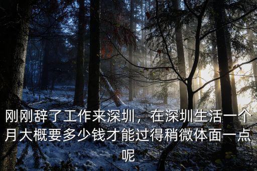 剛剛辭了工作來深圳，在深圳生活一個月大概要多少錢才能過得稍微體面一點呢