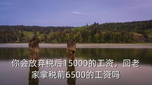 你會放棄稅后15000的工資，回老家拿稅前6500的工資嗎