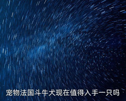 泰安法國斗牛犬多少錢一只,一只法斗幼犬大概得多少錢